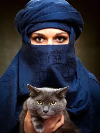 Коты арабы