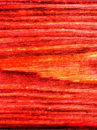 Красное дерево махагони