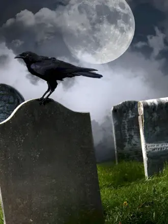 Ворон на кладбище