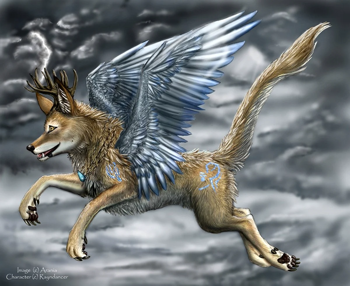 Крылатая собака. Симуран Славянская мифология. Симуран крылатый волк. Семаргл и Симуран. Крылатый пес Семаргл.